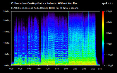 Patrick Roberts - Without You - spectrogram