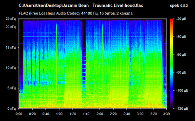 Jazmin Bean - Traumatic Livelihood - spectrogram