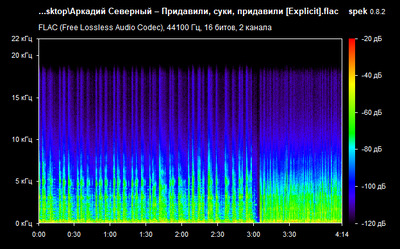 Аркадий Северный – Придавили, суки, придавили - spectrogram
