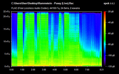 Rammstein - Pussy (Live) - spectrogram